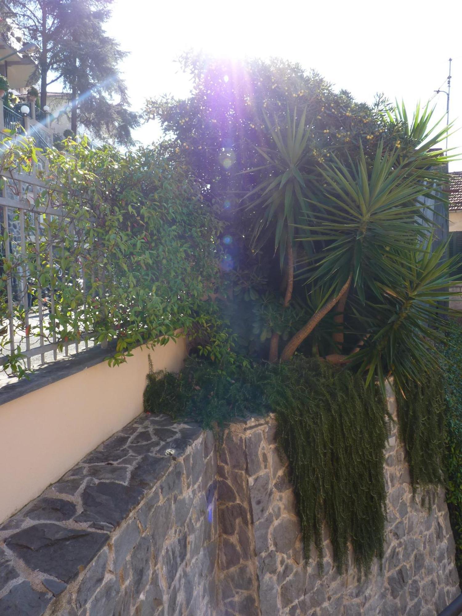 La Gerbera Hotel Levanto Luaran gambar