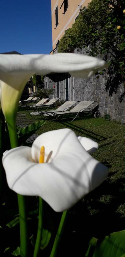 La Gerbera Hotel Levanto Luaran gambar